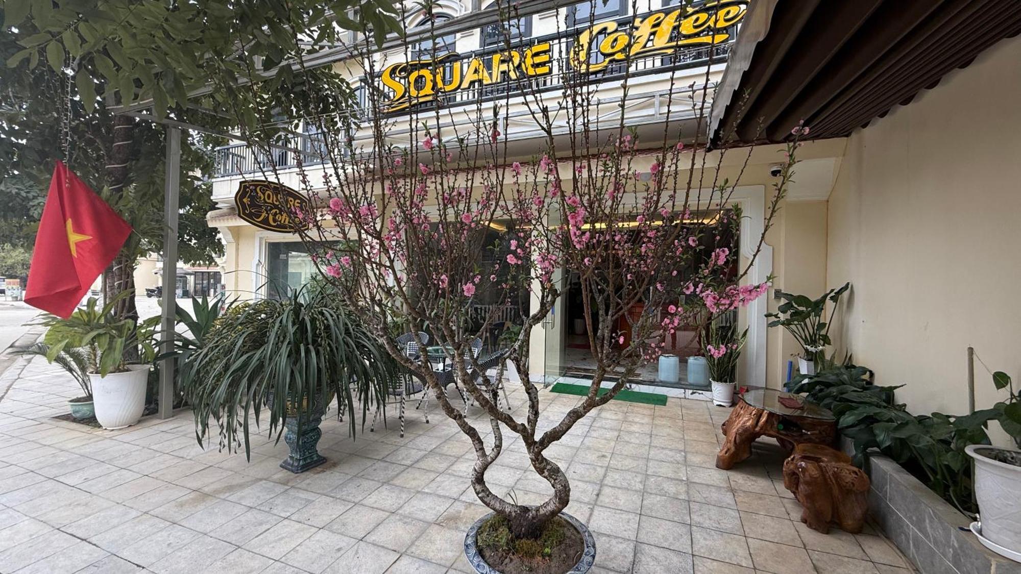 Square Homestay & Coffee Bac Ha  Exteriör bild